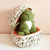 Peluche Dinosaure Tricératops Bébé dans Œuf | Jouet Dinosaur Plush Vert avec Œuf Intérieur | Cadeau Anniversaire, Noël, Halloween, Décoration de Fête King of Toys