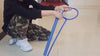 Balle de Corde à Sauter LED - Jouet Sport Extérieur pour Entraînement à la Réaction et à la Vitesse, Plastique Durable en Rose/Rouge/Bleu/Jaune King of Toys
