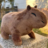 Peluche Capybara de 22 cm | Simulation Mignonne et Douce pour Enfants King of Toys
