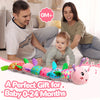 Jouet Musical Bébé | Peluche Douce 0-12 Mois | Jouet Curly pour Nouveau-Né, Cadeau Noël & Halloween King of Toys