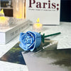 Rose en Briques de Construction DIY | Jouet de Construction Décoratif Cadeau de Noël King of Toys