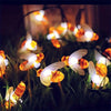 HONEYBEE l Solar LED Cord Honeybee 20 LEDS l 5 Meter Speelgoed Koning