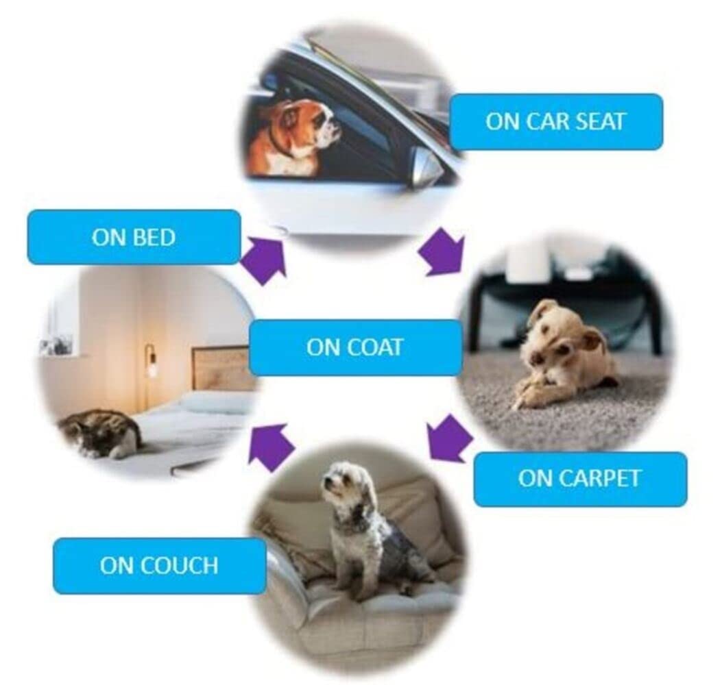 Nettoyeur de peluches pour animaux | Outil de nettoyage des poils de chat, pour meubles, tapis, canapés et vêtements, enlève poussière et peluches King of Toys