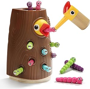 Magnetic Toy Bird Feeder Game - Montessori Toys 2 Years Speelgoed Koning