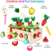 Jouets Montessori en Bois pour Tout-Petits | Jouets Éducatifs de Tri de Formes pour Enfants de 1 à 3 Ans King of Toys