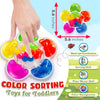 Jouets Sensoriels de Tri des Couleurs | Activités d'Apprentissage et de Tri des Couleurs Montessori pour Enfants de 1 à 3 Ans King of Toys