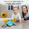 Jouets Bébé Crabe Rampant - Cadeaux Jouet Tummy Time pour Garçons et Filles de 3 à 12 Mois avec Système d'Apprentissage du Rampement et Musique King of Toys