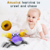 Jouets Bébé Crabe Rampant - Cadeaux Jouet Tummy Time pour Garçons et Filles de 3 à 12 Mois avec Système d'Apprentissage du Rampement et Musique King of Toys