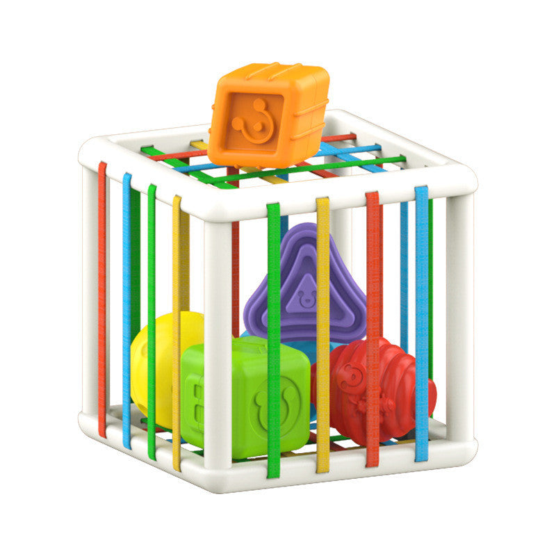 Trieur de blocs sensoriels - Six blocs de forme massive Jouet éducatif Montessori pour les enfants de 12 mois et plus