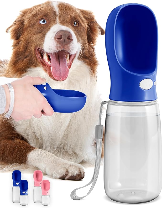 Bouteille d'eau pour Chien 560 ml (Bouteille d'eau) Portable | Étanche et Légère pour Chiens King of Toys
