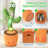 Jouet Cactus Dansant et Parleur pour Bébé et Tout-Petit, Cadeau pour Garçons et Filles – Cactus Chanteur avec Fonction de Mimétisme, Enregistrement et Répétition de Vos Paroles, Jouet Bébé avec 120 Chansons en Anglais King of Toys