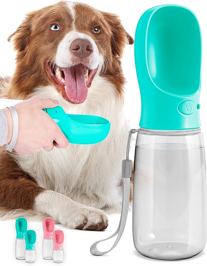 Bouteille d'eau pour Chien 560 ml (Bouteille d'eau) Portable | Étanche et Légère pour Chiens King of Toys