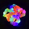 6 Scrunchies LED Colorés | Accessoires de Cheveux Lumineux pour Noël et Fêtes King of Toys
