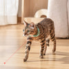 Elektronische Kattenhalsband met USB-Oplaadfunctie | Draagbare Slimme Tracker