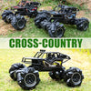 Voiture RC l Monster Truck Étanche l Télécommande l Conduite Multi-directionnelle & Escalade de Rampe Speelgoed Koning