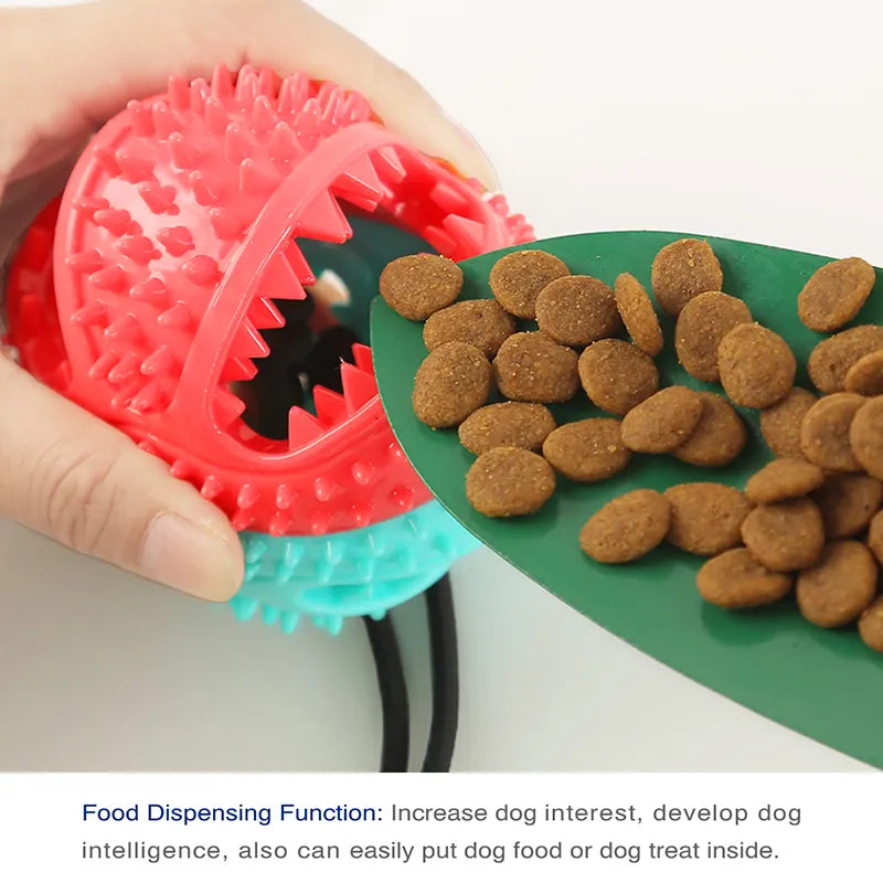 Jouet à Balle pour Grand Chien l Balle avec Ventouse et Corde l Jeu de Friandises l Jouet à Mâcher pour Nettoyer les Dents De Speelgoedkoning