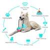 Jouet à Balle pour Grand Chien l Balle avec Ventouse et Corde l Jeu de Friandises l Jouet à Mâcher pour Nettoyer les Dents De Speelgoedkoning