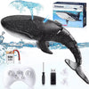 Jouet Baleine Télécommandée | Modèle de Simulation de Requin Baleine avec Spray d'Eau 2.4G | Cadeau pour Enfants King of Toys