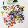 50 Transparante Stickers | Waterdichte Cartoon & Bloemen Stickerset