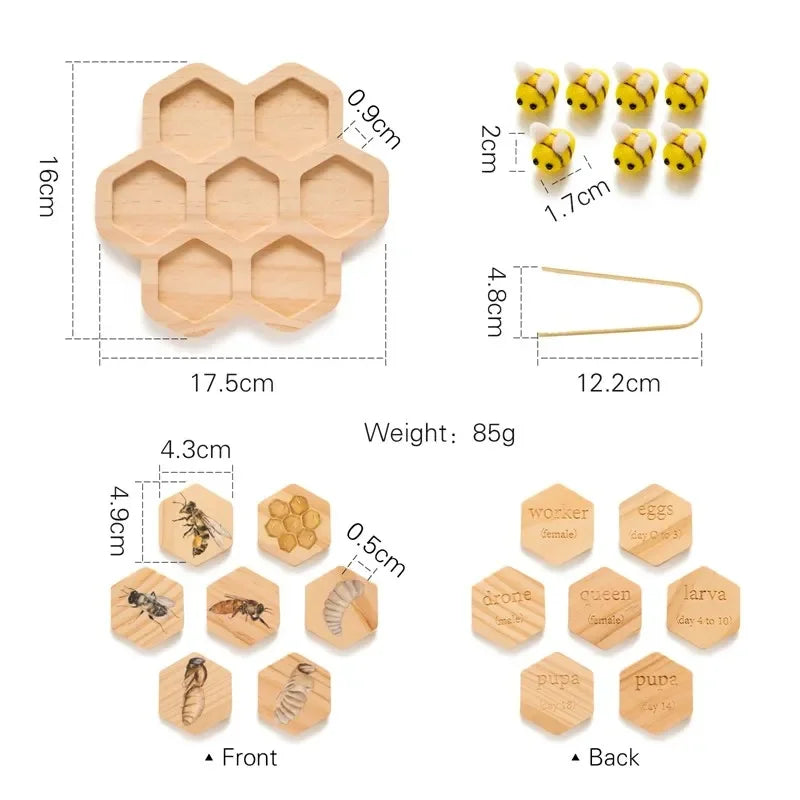 Planche Montessori Cycle de Vie des Animaux - Jouet Éducatif pour Enfants avec Modèles de Croissance des Abeilles et Animaux King of Toys