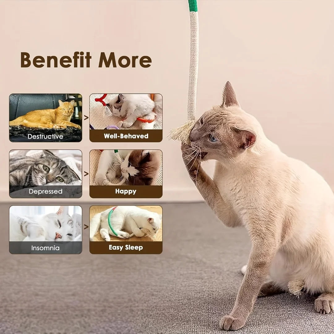 Jouet à Mâcher pour Chat avec Herbe à Chat | Nettoyage des Dents et Stimulation Interactive