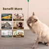 Jouet à Mâcher pour Chat avec Herbe à Chat | Nettoyage des Dents et Stimulation Interactive