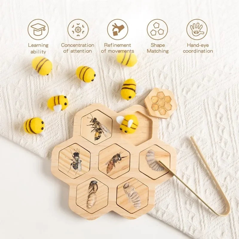 Planche Montessori Cycle de Vie des Animaux - Jouet Éducatif pour Enfants avec Modèles de Croissance des Abeilles et Animaux King of Toys