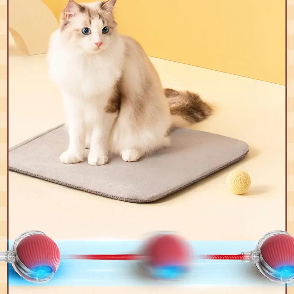 Balle interactive pour chat d'intérieur | Jouet autonome avec capteurs intelligents King of Toys