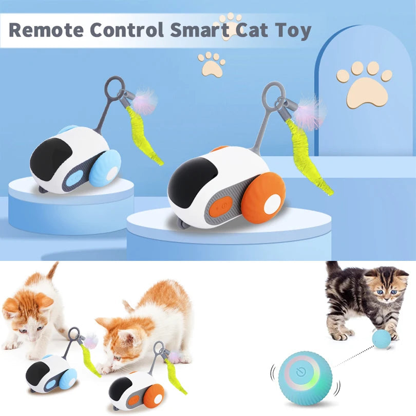Jouet Intelligent pour Chat | Voiture Souris Télécommandée Automatique en Mouvement pour Jeu Intérieur & Entraînement avec Chiens & Chats King of Toys