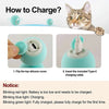 Jouet Intelligent pour Chat | Voiture Souris Télécommandée Automatique en Mouvement pour Jeu Intérieur & Entraînement avec Chiens & Chats King of Toys