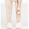 Puzzle 3D Montessori Corps Humain Modèle d'Anatomie | Jouet Éducatif d'Apprentissage pour Enfants, Outil d'Enseignement du Corps et des Organes à Assembler King of Toys