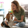 Jouet à Mâcher pour Chiots – Peluche douce avec couineur, idéal pour l’intérieur et l’extérieur King of Toys