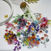 50 Transparante Stickers | Waterdichte Cartoon & Bloemen Stickerset