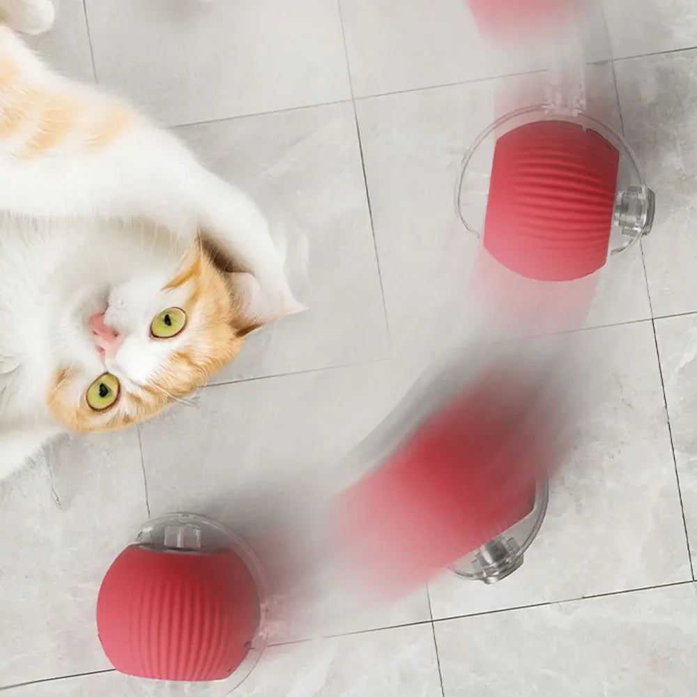 Balle interactive pour chat d'intérieur | Jouet autonome avec capteurs intelligents King of Toys