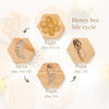 Planche Montessori Cycle de Vie des Animaux - Jouet Éducatif pour Enfants avec Modèles de Croissance des Abeilles et Animaux King of Toys