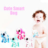 Nouveau chien robot intelligent électronique - Jouet interactif musical et dansant, animal de compagnie robotique pour enfants, cadeau King of Toys