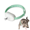 Jouet Intelligent pour Chat | Voiture Souris Télécommandée Automatique en Mouvement pour Jeu Intérieur & Entraînement avec Chiens & Chats King of Toys