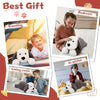 Chien en Peluche Lesté – 1,8 kg avec Perles Chauffantes Micro-ondes | Jouet Réconfortant Chauffant pour Enfants & Adultes, Sans Parfum, Yeux 3D Mignons