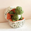 Peluche Dinosaure Tricératops Bébé dans Œuf | Jouet Dinosaur Plush Vert avec Œuf Intérieur | Cadeau Anniversaire, Noël, Halloween, Décoration de Fête King of Toys