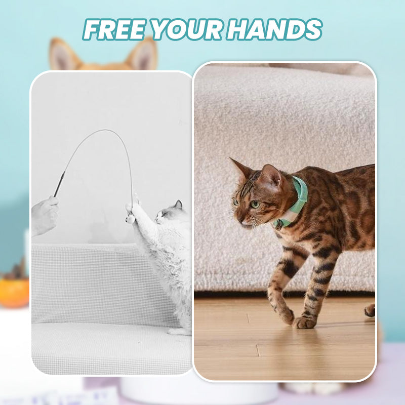 Elektronische Kattenhalsband met USB-Oplaadfunctie | Draagbare Slimme Tracker