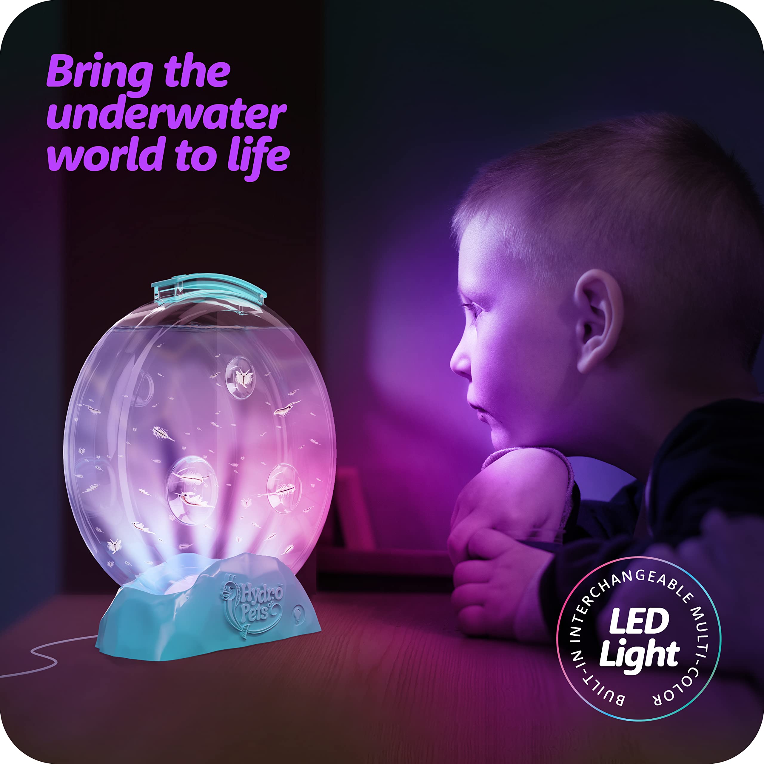 Kit Habitat HydroPets avec Lumière – Expérience Scientifique pour Enfants 6–12 Ans | Jouet Aquatique Éducatif